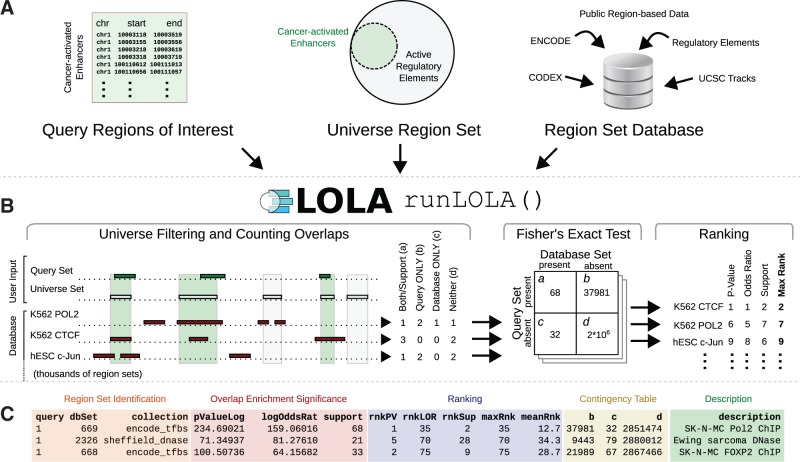 LOLA workflow
